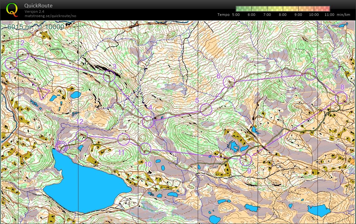 Nordre Fjellstølen Mapant/UsynligO (07.08.2020)