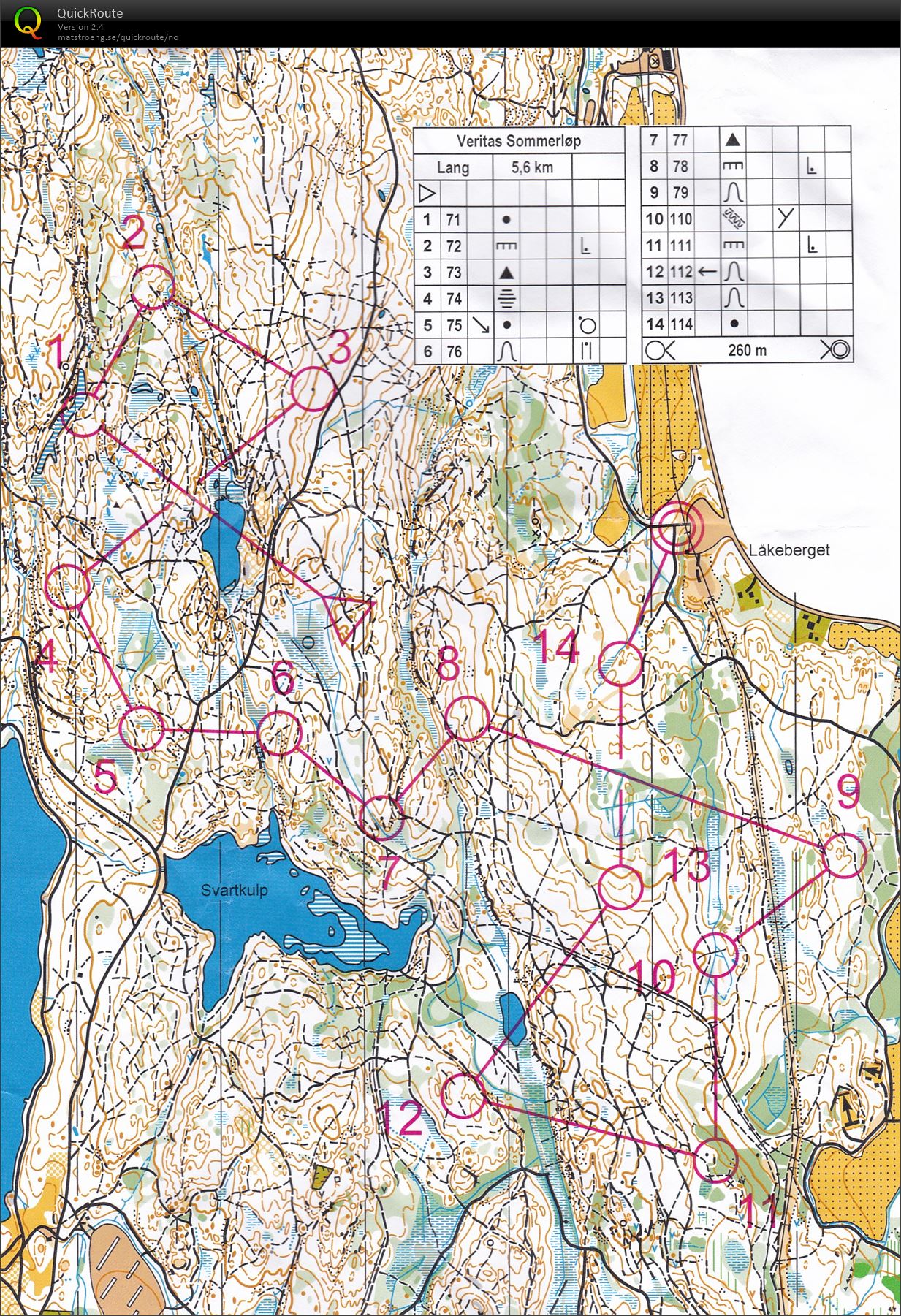 Sommerløp nr 6 (05.08.2020)