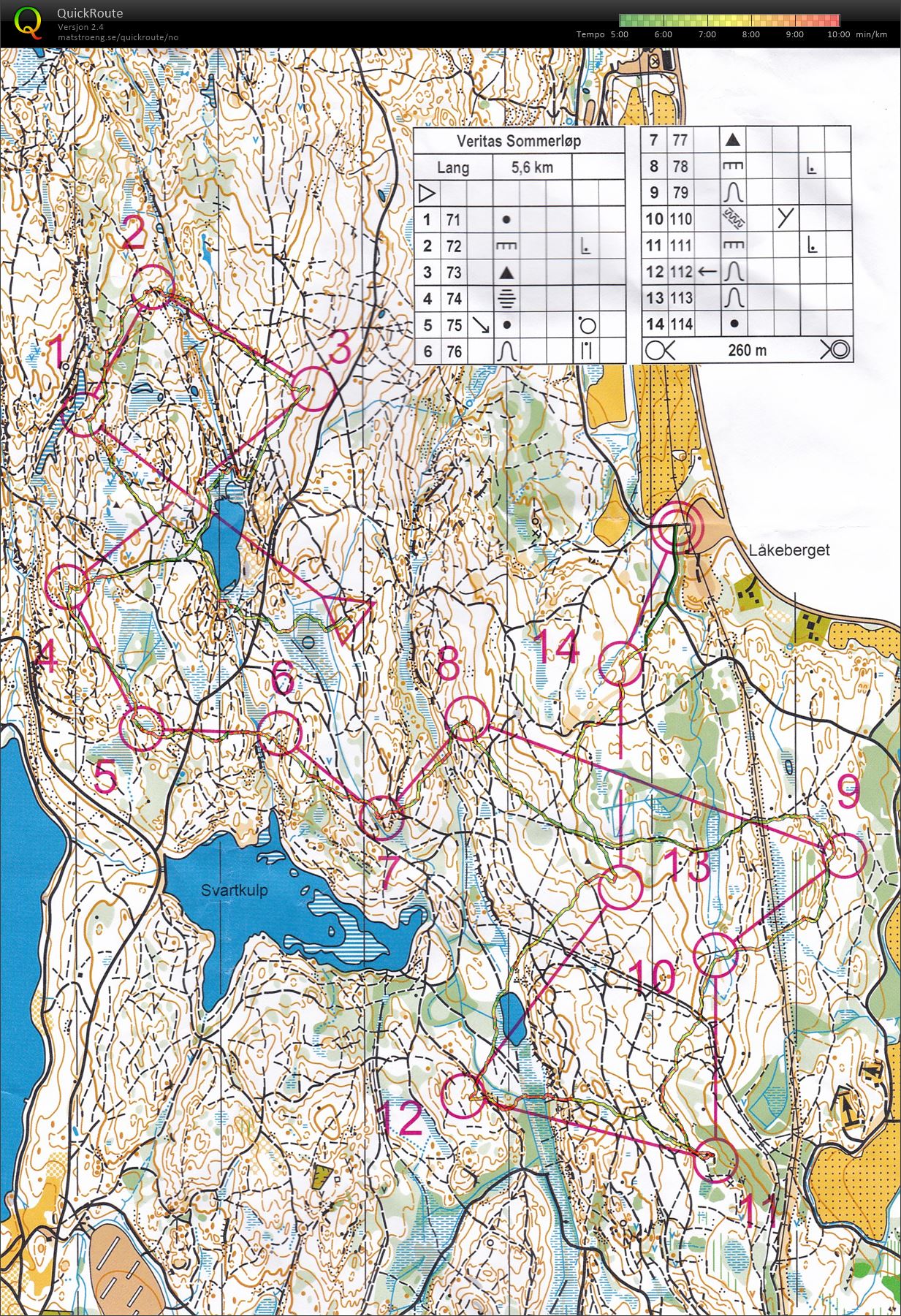 Sommerløp nr 6 (05.08.2020)