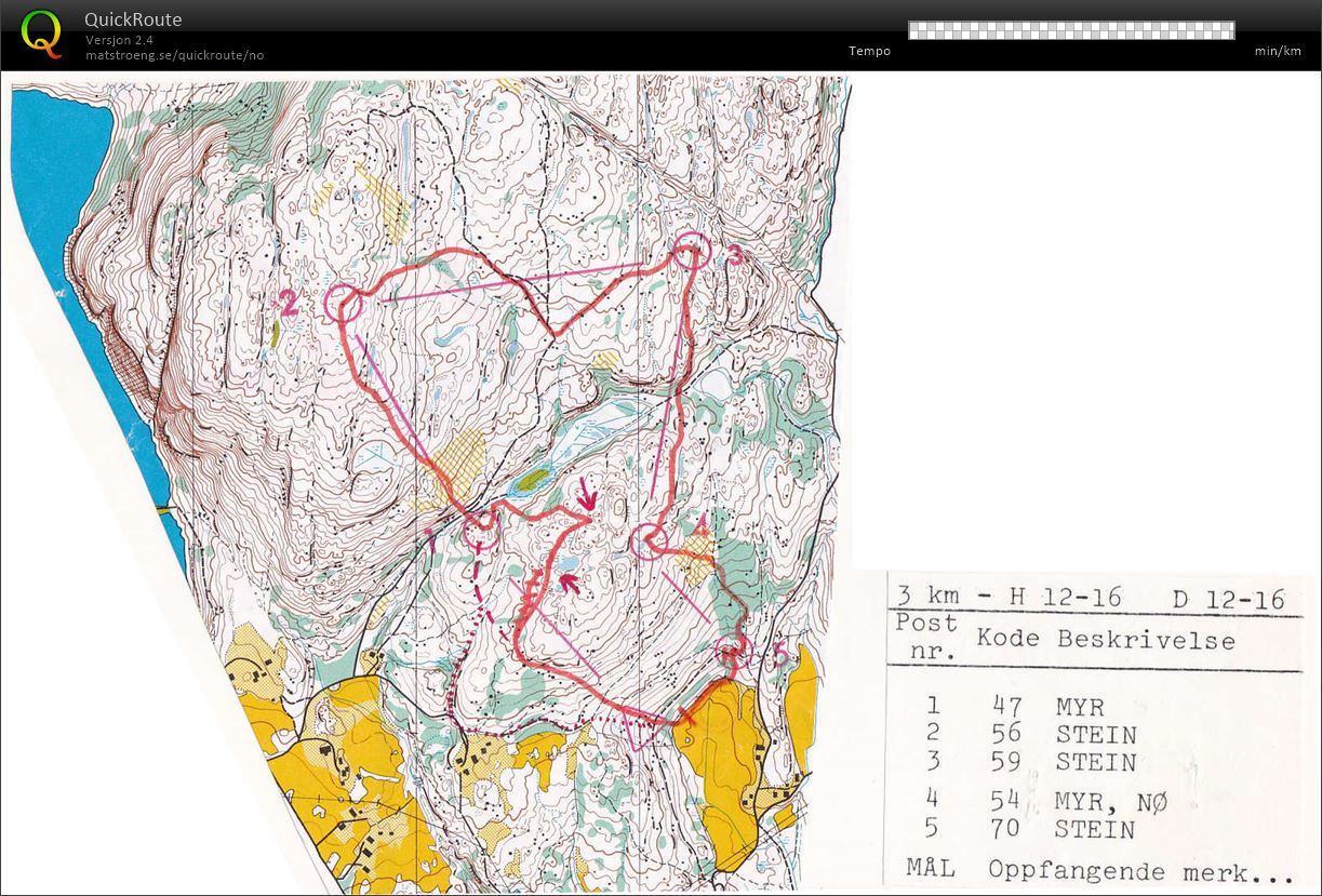 KM stafett Telemark (1980-08-17)